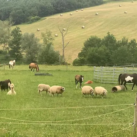A La Ferme Avec Jacuzzi Et Piscine Chauffee Prázdninový dům Saint-Felix-de-Tournegat