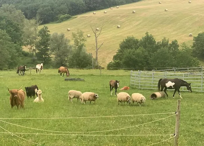 A La Ferme Avec Jacuzzi Et Piscine Chauffee Dom wakacyjny Saint-Felix-de-Tournegat