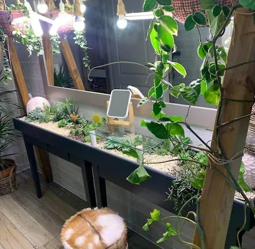 Dom wakacyjny A La Ferme Avec Jacuzzi Et Piscine Chauffee